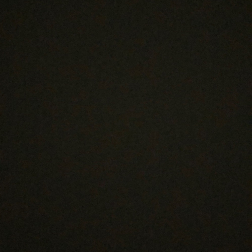 Meet your Posher, Riley